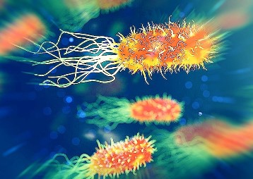 Din secretele microbilor din organismul uman: de ce unele persoane nu contracteaza niciodata boli infectioase?