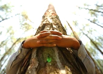 S-a dovedit stiintific ca imbratisarea copacilor ofera corpului nostru o energie uluitoare!