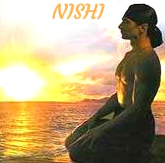sistemul Nishi